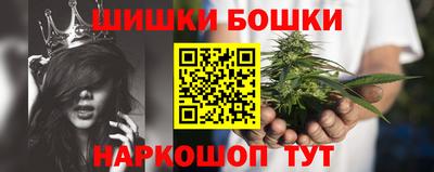 хмурый Сланцы