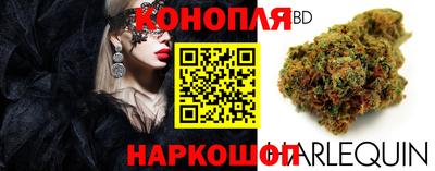 хмурый Сланцы