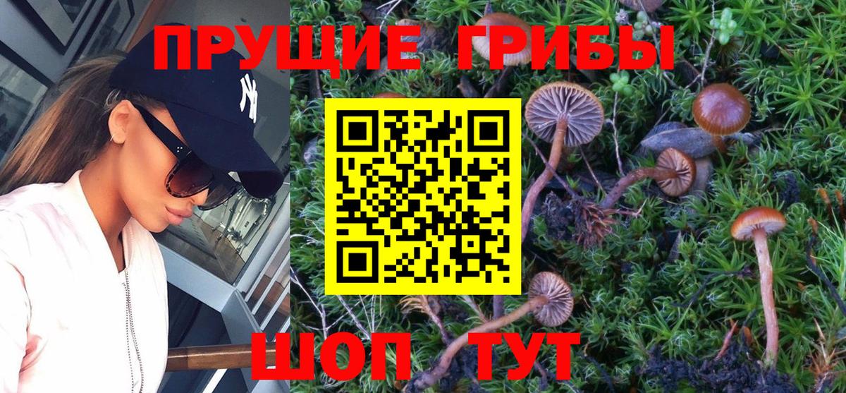 Галлюциногенные грибы мухоморы Нижнекамск