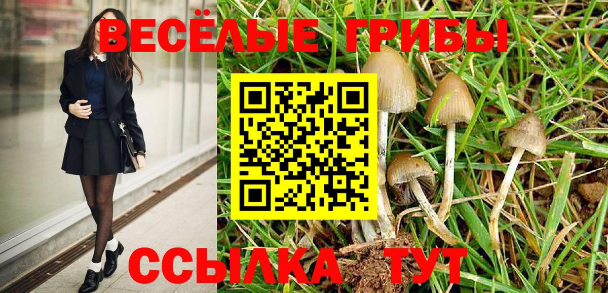 Псилоцибиновые грибы мицелий  Галлюциногенные грибы Psilocybe  Нижнекамск  Вход с VPN 